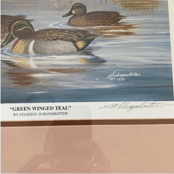 Leland D.Schaperkotter "Green Winged Teal" Vintage Signed Print wall art decor - Picture 4 of 11